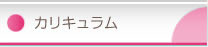 カリキュラム